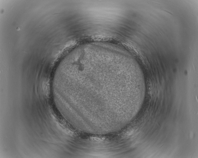 X0000088030690200705251117