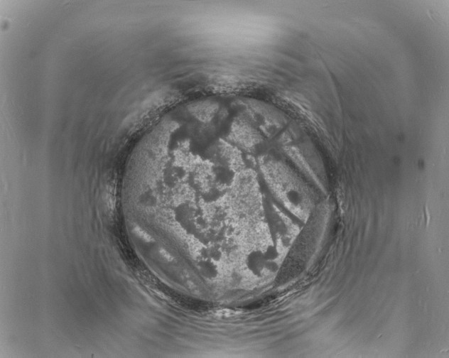 X0000088030691200705251117