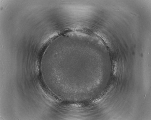 X0000088030692200705251117