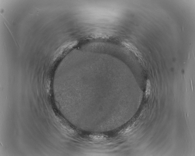 X0000088030693200705251117