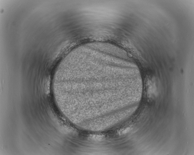 X0000088030694200705251117