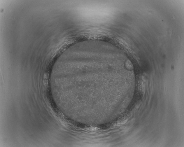 X0000088030695200705251117