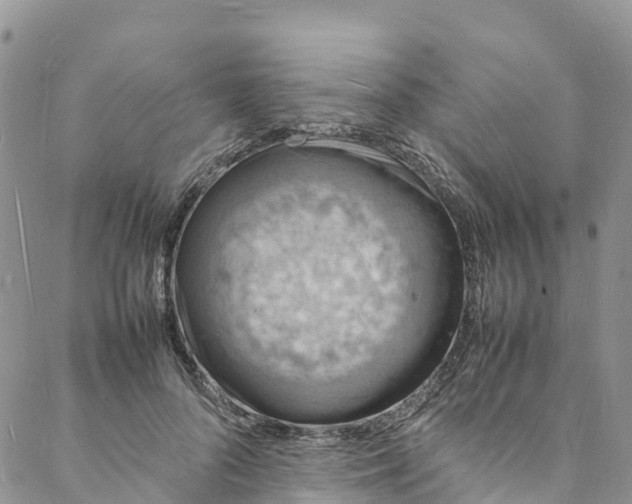 X0000088030696200705251117