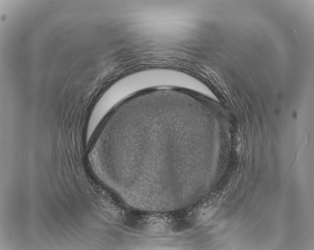 X0000088030697200705251117