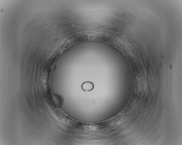 X0000088030698200705251117