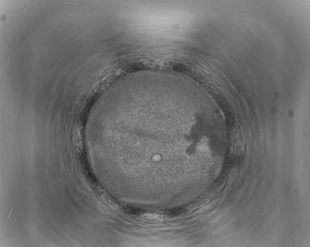 X0000088030699200705251117