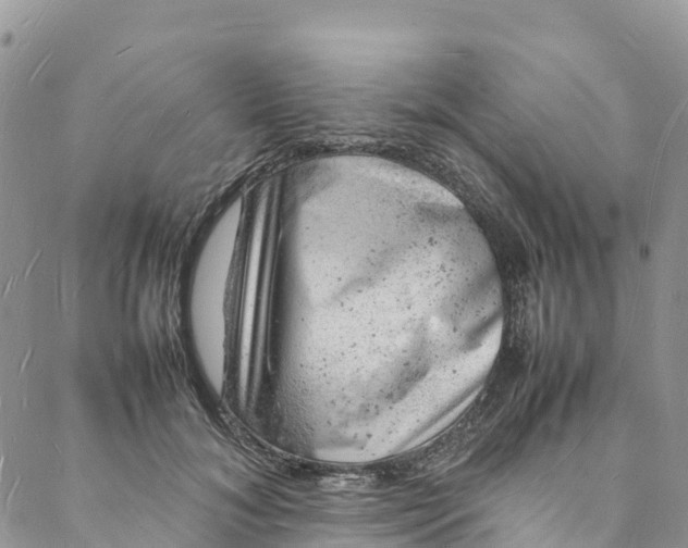 X0000088030700200705251117