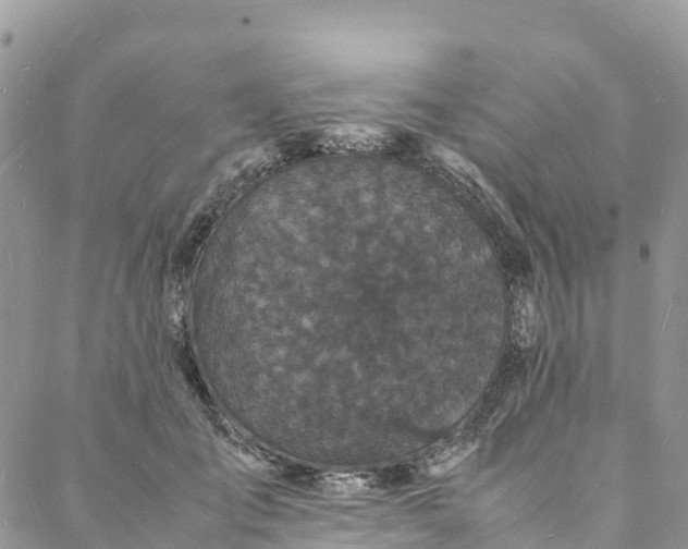 X0000088030701200705251117