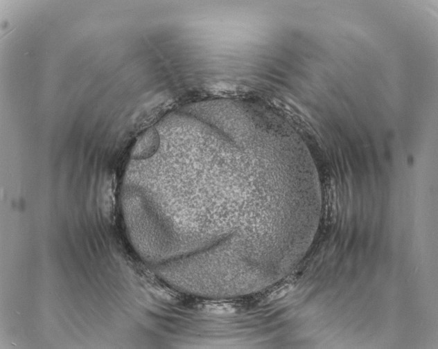 X0000088030702200705251117