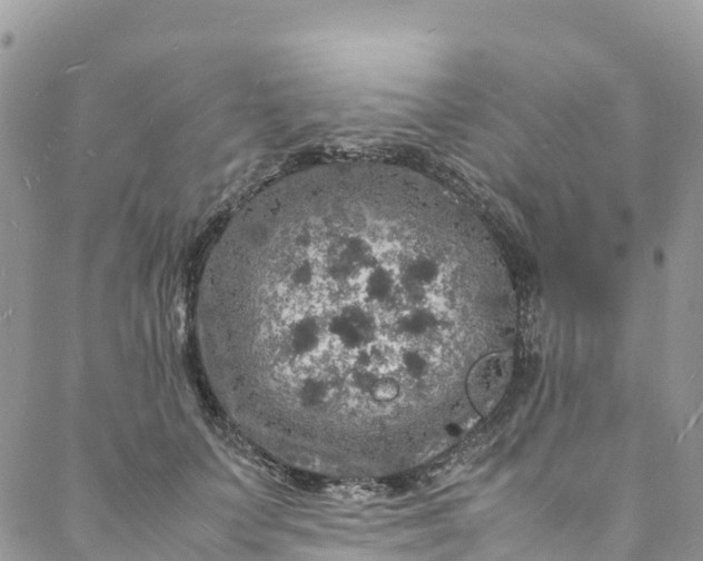 X0000088030703200705251117