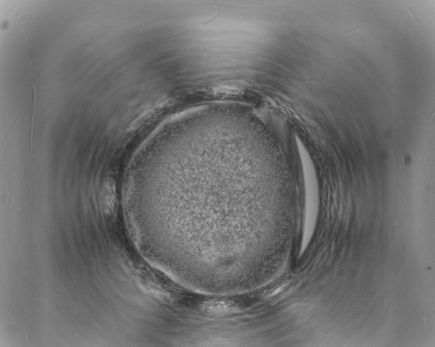 X0000088030704200705251117