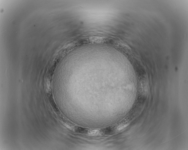 X0000088030705200705251117