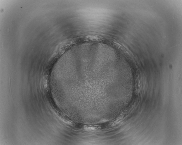 X0000088030706200705251117