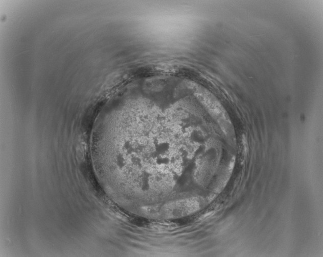 X0000088030707200705251117