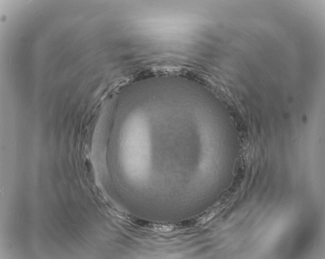 X0000088030709200705251116