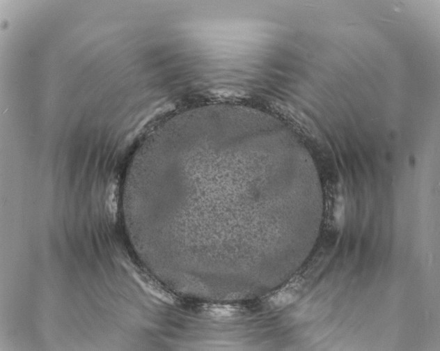 X0000088030710200705251116