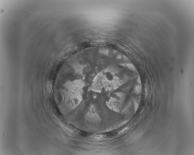 X0000088030711200705251116