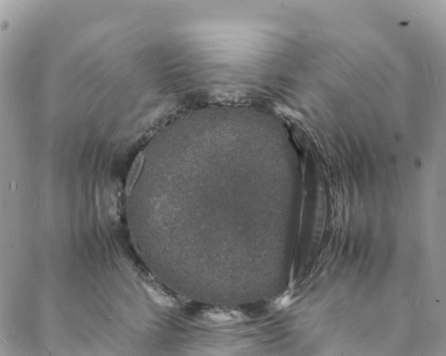 X0000088030712200705251116