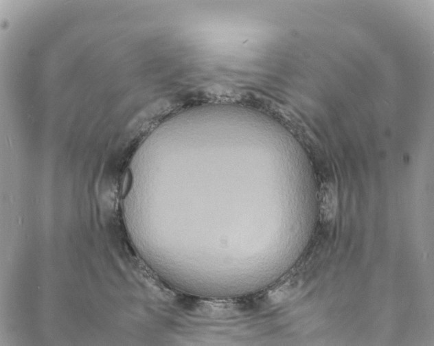 X0000088030713200705251116