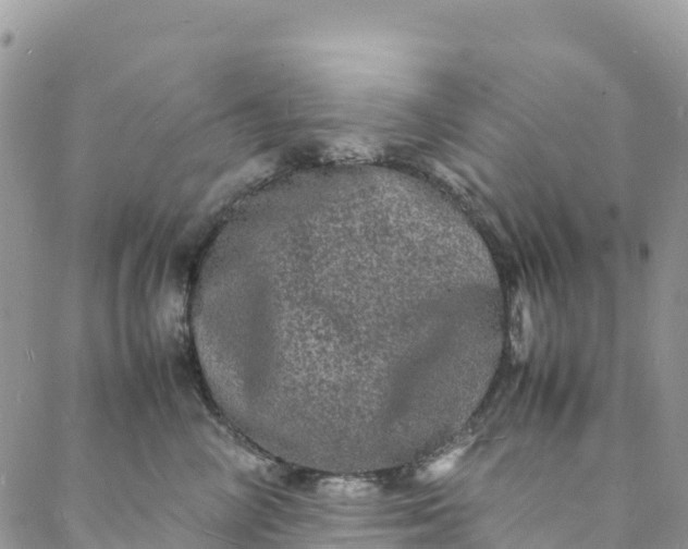 X0000088030714200705251116