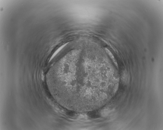 X0000088030715200705251116