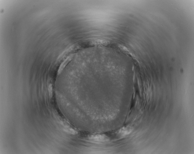 X0000088030716200705251116