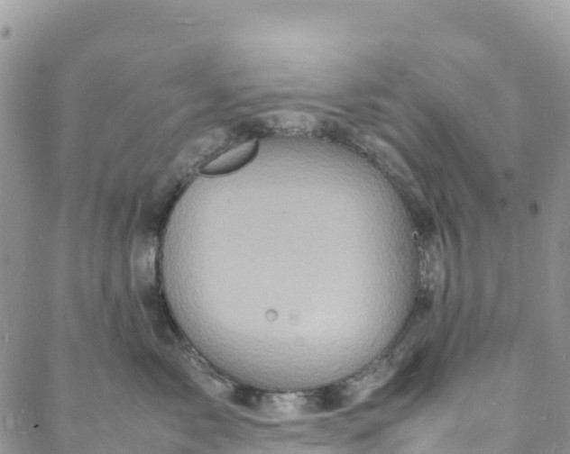 X0000088030717200705251116