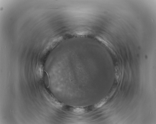 X0000088030718200705251116