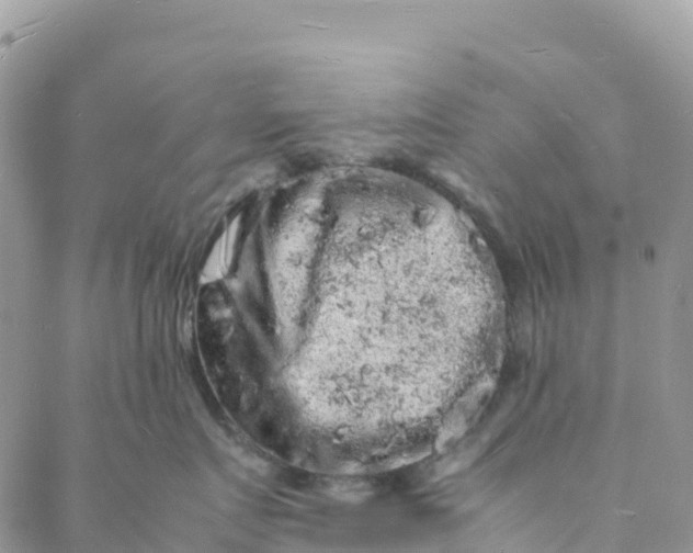 X0000088030719200705251116