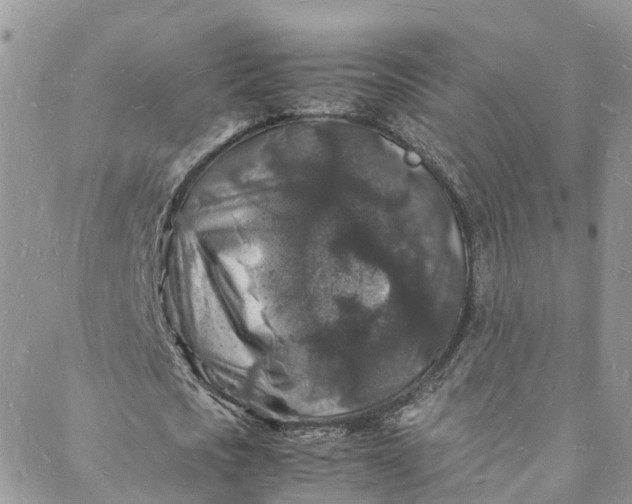 X0000088030721200705251116