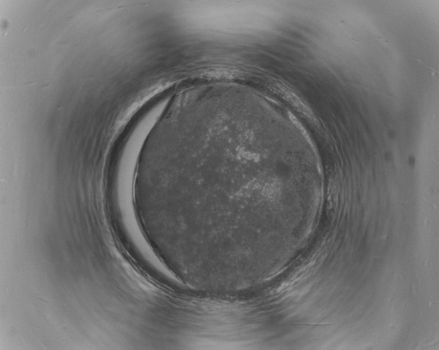 X0000088030722200705251116