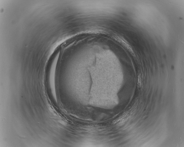 X0000088030724200705251116