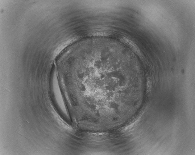 X0000088030725200705251116