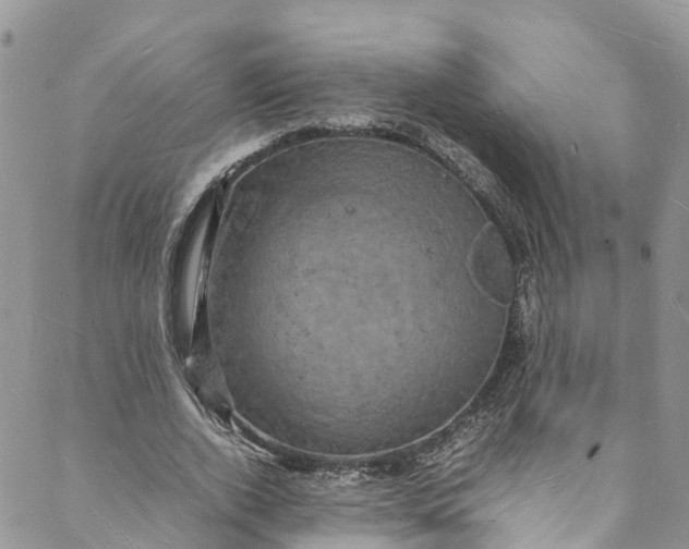 X0000088030728200705251116