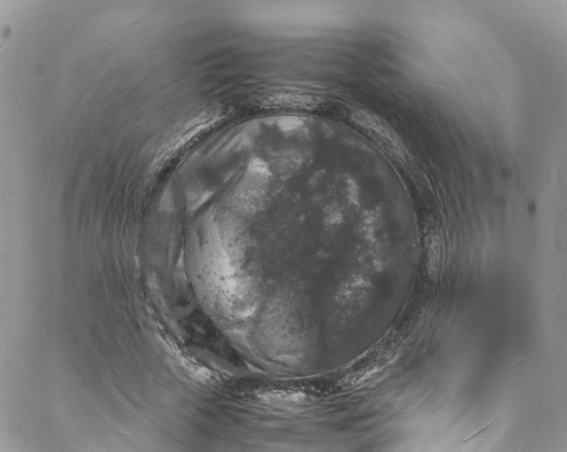 X0000088030729200705251116