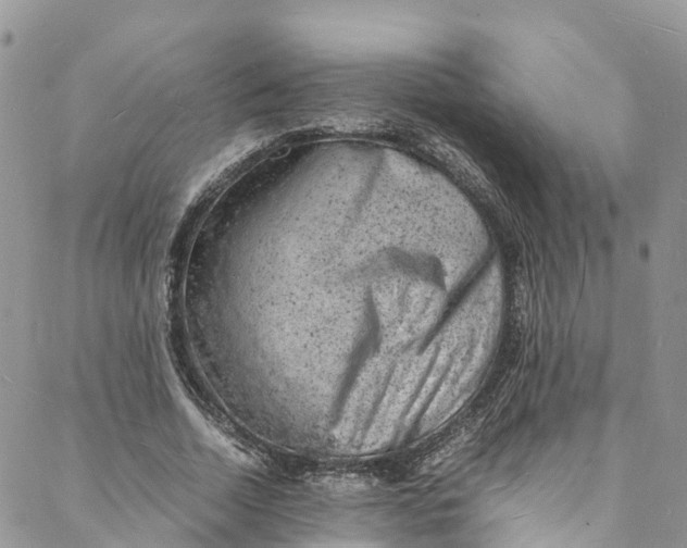 X0000088030730200705251116