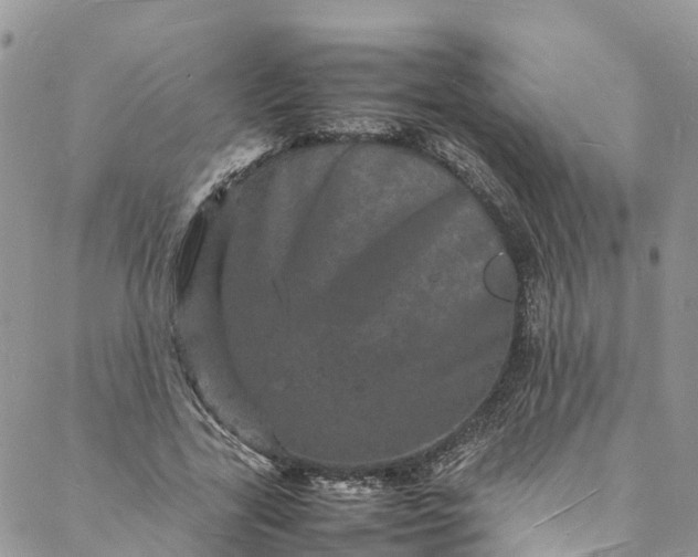 X0000088030731200705251116