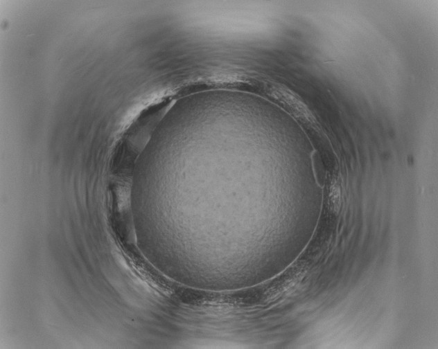 X0000088030732200705251116