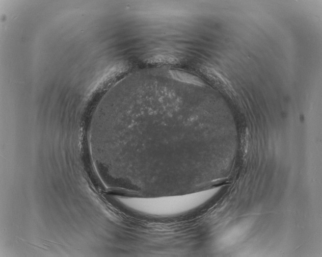 X0000088030735200705251116