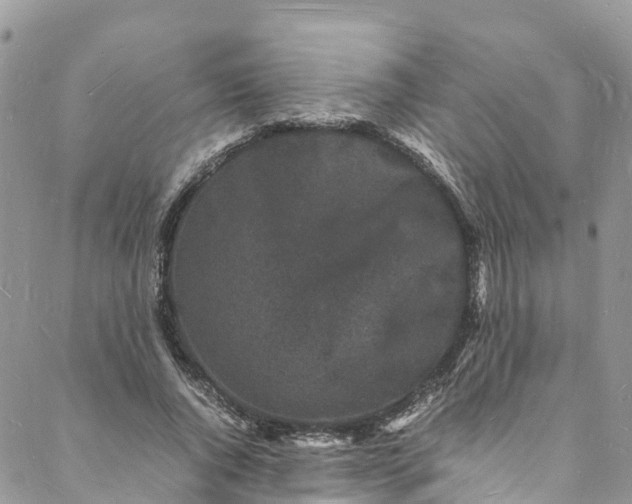 X0000088030736200705251116