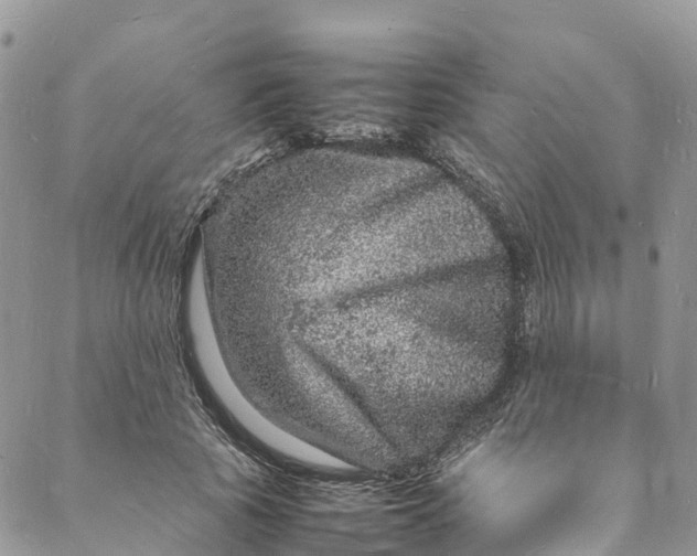 X0000088030737200705251116