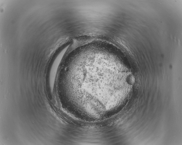 X0000088030738200705251116