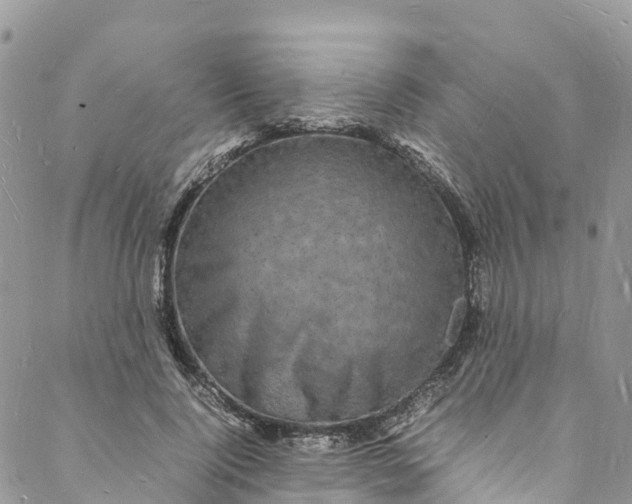 X0000088030740200705251116