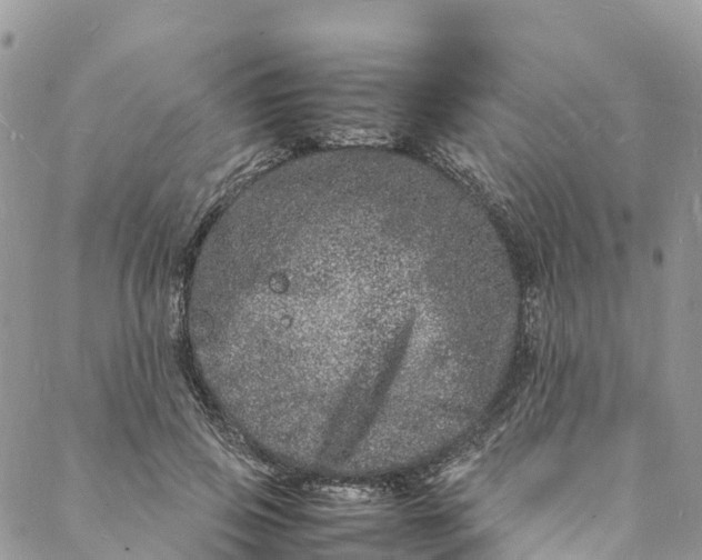 X0000088030741200705251116