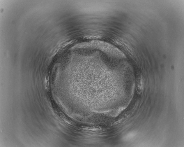 X0000088030743200705251116