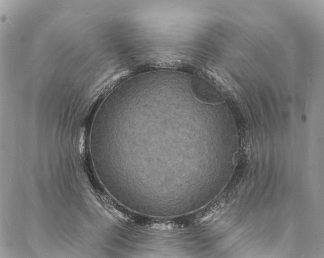 X0000088030744200705251116