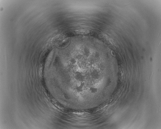 X0000088030745200705251116