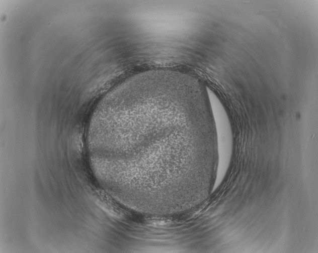 X0000088030746200705251116