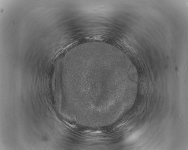 X0000088030747200705251116