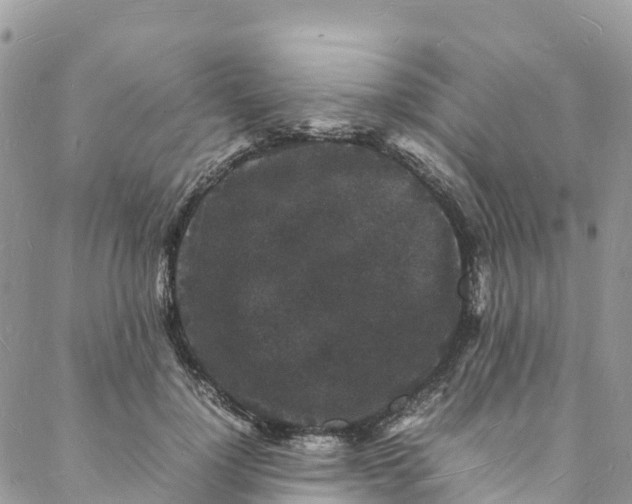 X0000088030748200705251116